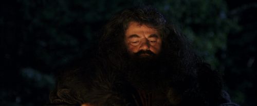 Click to view full size image
==============
PF-Potterish_08818.jpg PF-Potterish_08818.jpg