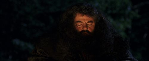 Click to view full size image
==============
PF-Potterish_08819.jpg PF-Potterish_08819.jpg