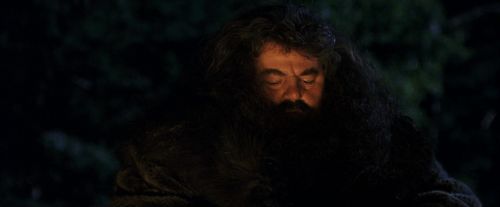 PF-Potterish_08820.jpg