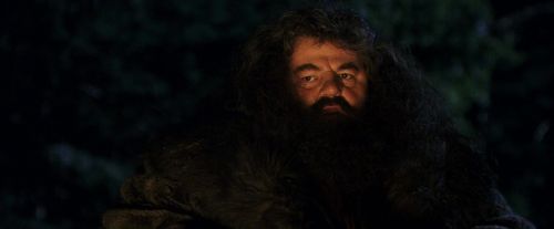 PF-Potterish_08822.jpg