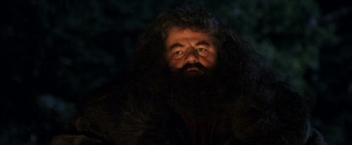 PF-Potterish_08823.jpg