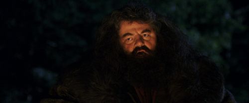 Click to view full size image
==============
PF-Potterish_08824.jpg PF-Potterish_08824.jpg