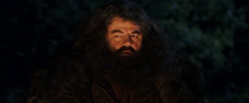 Click to view full size image
==============
PF-Potterish_08830.jpg PF-Potterish_08830.jpg