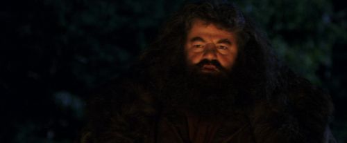 Click to view full size image
==============
PF-Potterish_08831.jpg PF-Potterish_08831.jpg