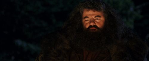Click to view full size image
==============
PF-Potterish_08832.jpg PF-Potterish_08832.jpg