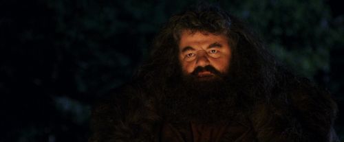 PF-Potterish_08839.jpg