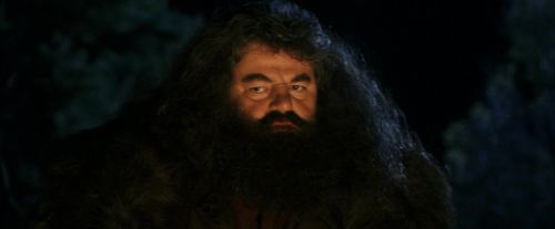 PF-Potterish_08845.jpg