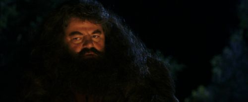 PF-Potterish_08846.jpg