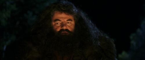 PF-Potterish_08847.jpg