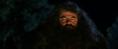 PF-Potterish_08848.jpg