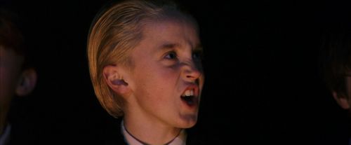 PF-Potterish_08854.jpg