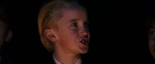 PF-Potterish_08855.jpg