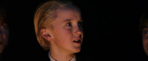 PF-Potterish_08856.jpg