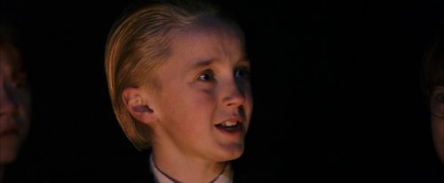 PF-Potterish_08857.jpg