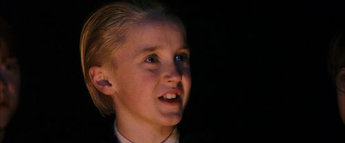 PF-Potterish_08858.jpg