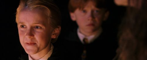 PF-Potterish_08864.jpg