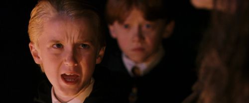 PF-Potterish_08869.jpg