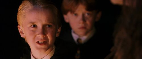 PF-Potterish_08870.jpg