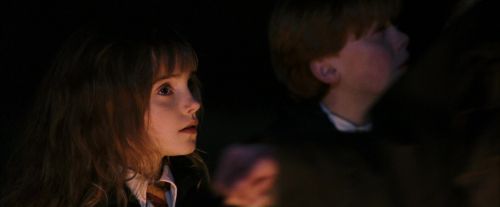 PF-Potterish_08886.jpg
