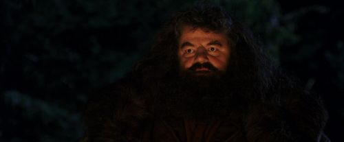 PF-Potterish_08890.jpg