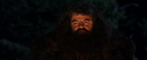 PF-Potterish_08891.jpg