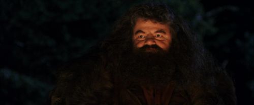 Click to view full size image
==============
PF-Potterish_08892.jpg PF-Potterish_08892.jpg