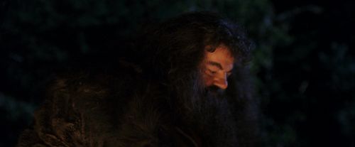 PF-Potterish_08893.jpg