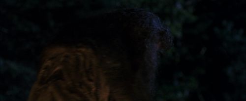 Click to view full size image
==============
PF-Potterish_08894.jpg PF-Potterish_08894.jpg