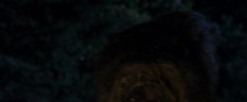 Click to view full size image
==============
PF-Potterish_08895.jpg PF-Potterish_08895.jpg