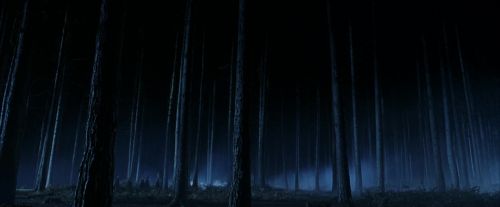 PF-Potterish_08899.jpg