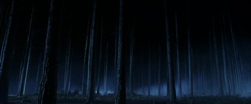 PF-Potterish_08900.jpg