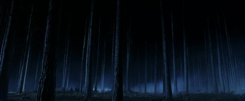 PF-Potterish_08901.jpg