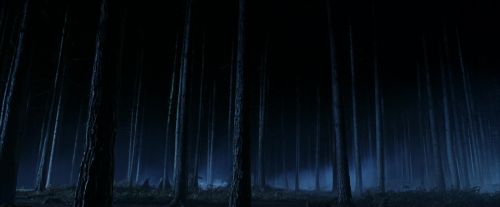 Click to view full size image
==============
PF-Potterish_08903.jpg PF-Potterish_08903.jpg