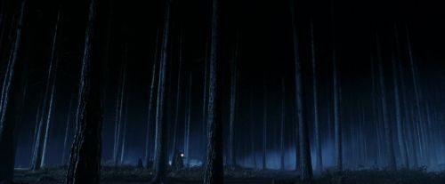 PF-Potterish_08904.jpg