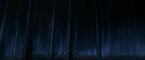 PF-Potterish_08906.jpg