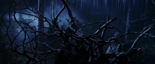 PF-Potterish_08920.jpg