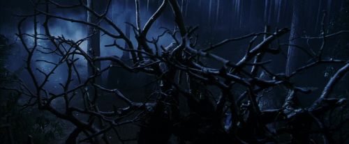 Click to view full size image
==============
PF-Potterish_08921.jpg PF-Potterish_08921.jpg