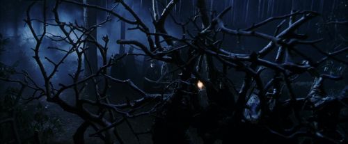 Click to view full size image
==============
PF-Potterish_08922.jpg PF-Potterish_08922.jpg