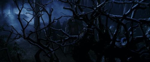 Click to view full size image
==============
PF-Potterish_08923.jpg PF-Potterish_08923.jpg