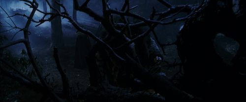 PF-Potterish_08926.jpg