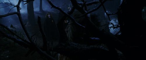 PF-Potterish_08927.jpg