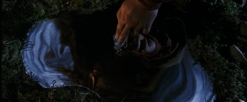 PF-Potterish_08936.jpg
