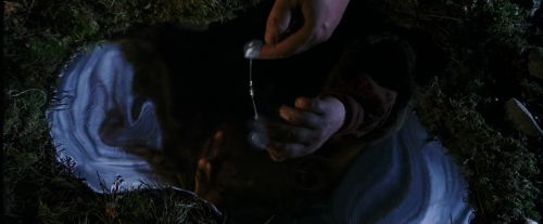 PF-Potterish_08937.jpg