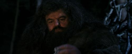 Click to view full size image
==============
PF-Potterish_08938.jpg PF-Potterish_08938.jpg