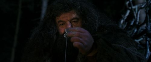 PF-Potterish_08939.jpg