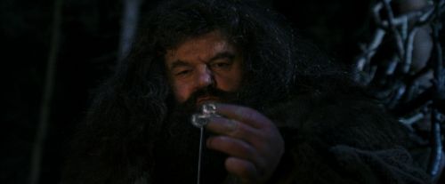 PF-Potterish_08940.jpg