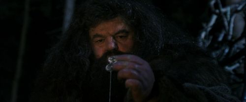 PF-Potterish_08942.jpg
