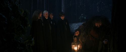 PF-Potterish_08943.jpg