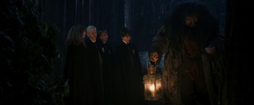 Click to view full size image
==============
PF-Potterish_08944.jpg PF-Potterish_08944.jpg