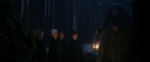 PF-Potterish_08947.jpg